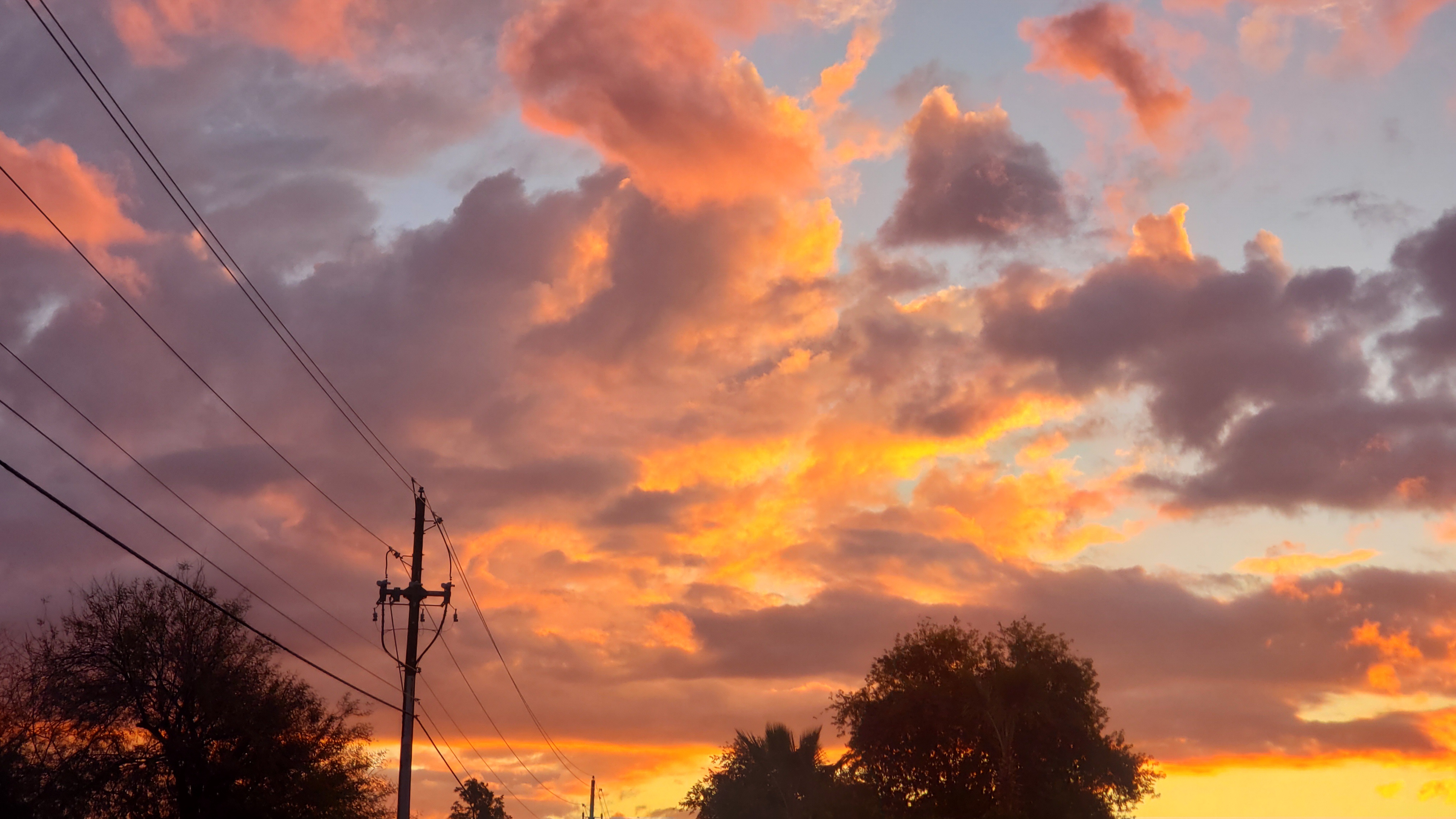 Sunset sky over silhouetted trees